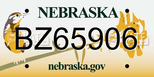 BZ65906 Nebraska License Plate