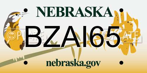 BZAI65 Nebraska License Plate