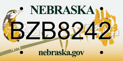 BZB8242 Nebraska License Plate