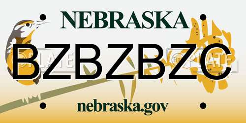 BZBZBZC Nebraska License Plate