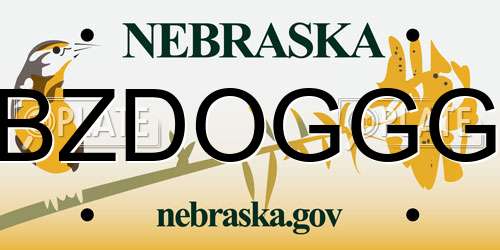 BZDOGGG Nebraska License Plate