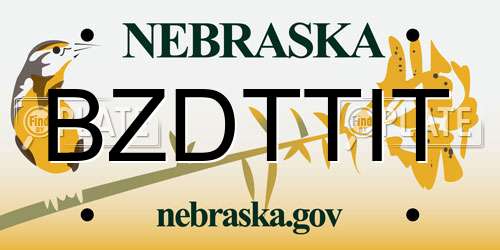 BZDTTIT Nebraska License Plate