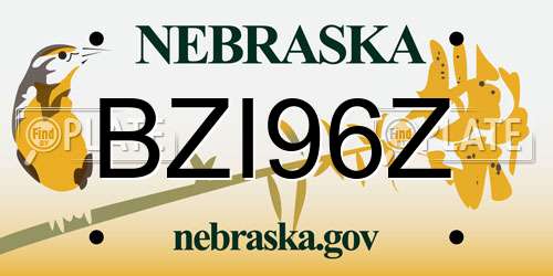 BZI96Z Nebraska License Plate