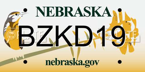 BZKD19 Nebraska License Plate