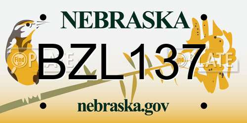 BZL137 Nebraska License Plate