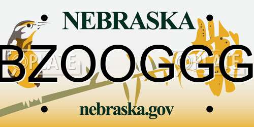 BZOOGGG Nebraska License Plate