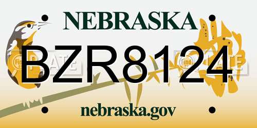 BZR8124 Nebraska License Plate