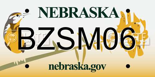 BZSM06 Nebraska License Plate
