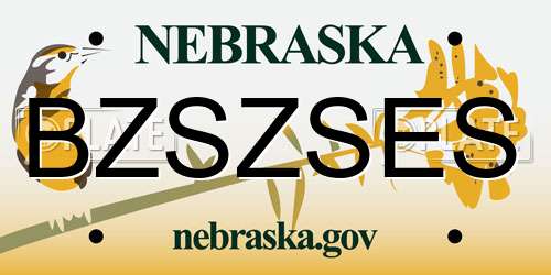 BZSZSES Nebraska License Plate