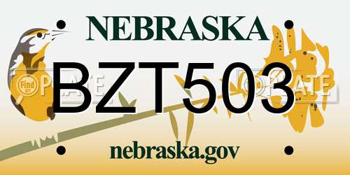 BZT503 Nebraska License Plate