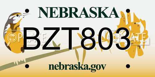 BZT803 Nebraska License Plate