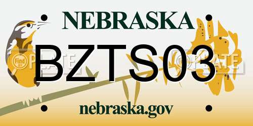 BZTS03 Nebraska License Plate
