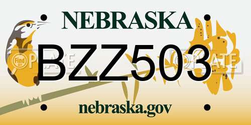 BZZ503 Nebraska License Plate