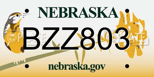 BZZ803 Nebraska License Plate