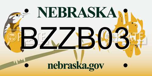 BZZB03 Nebraska License Plate