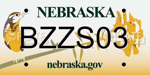 BZZS03 Nebraska License Plate