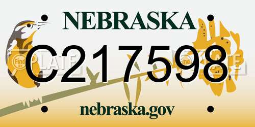 C217598 Nebraska License Plate