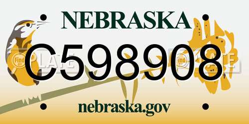 C598908 Nebraska License Plate