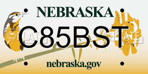 C85BST Nebraska License Plate