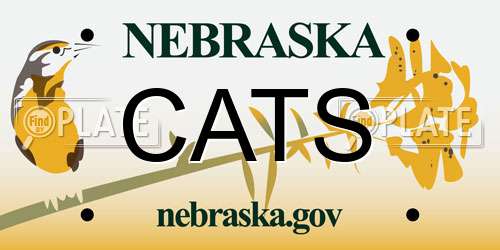 CATS Nebraska License Plate