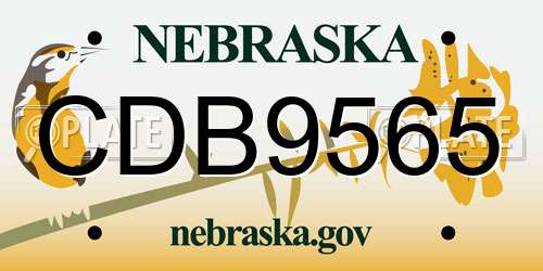CDB9565 Nebraska License Plate