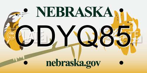 CDYQ85 Nebraska License Plate