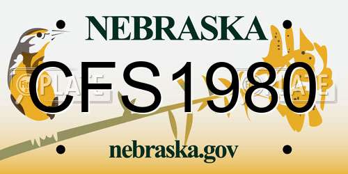 CFS1980 Nebraska License Plate