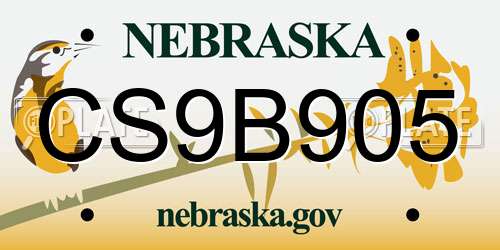 CS9B905 Nebraska License Plate