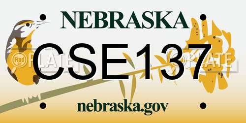 CSE137 Nebraska License Plate