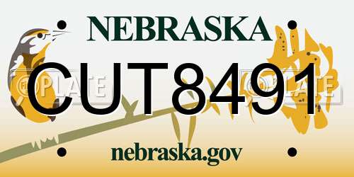 CUT8491 Nebraska License Plate