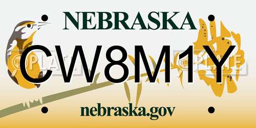 CW8M1Y Nebraska License Plate