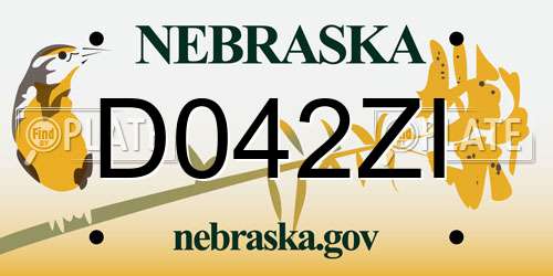 D042ZI Nebraska License Plate
