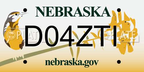 D04ZTI Nebraska License Plate