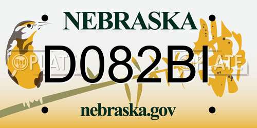 D082BI Nebraska License Plate