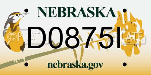D0875I Nebraska License Plate