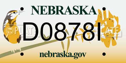 D0878I Nebraska License Plate