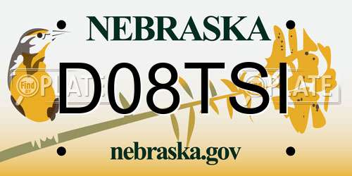 D08TSI Nebraska License Plate