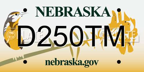 D250TM Nebraska License Plate