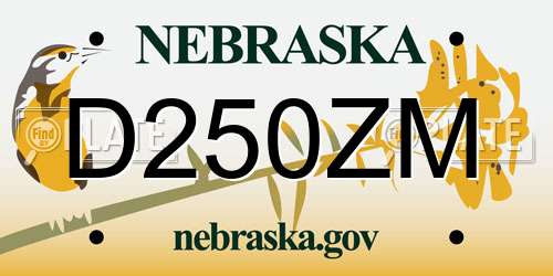 D250ZM Nebraska License Plate