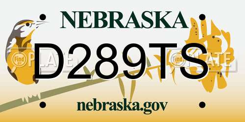 D289TS Nebraska License Plate