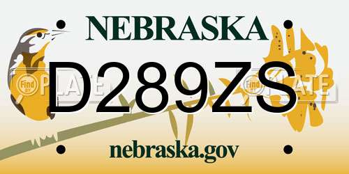 D289ZS Nebraska License Plate