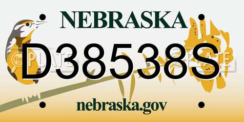 D38538S Nebraska License Plate