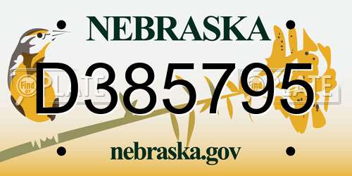 D385795 Nebraska License Plate