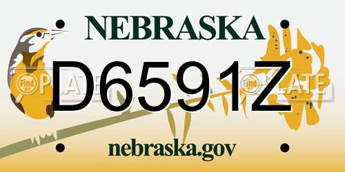 D6591Z Nebraska License Plate