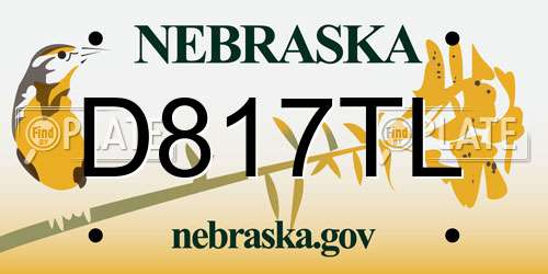 D817TL Nebraska License Plate