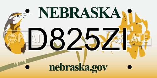 D825ZI Nebraska License Plate