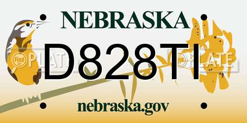 D828TI Nebraska License Plate
