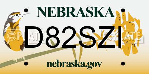 D82SZI Nebraska License Plate