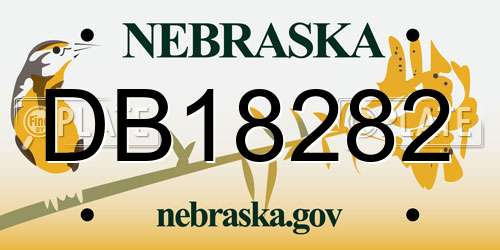 DB18282 Nebraska License Plate