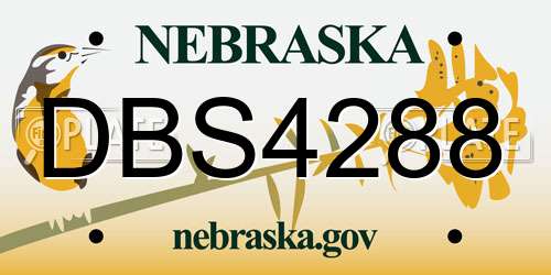 DBS4288 Nebraska License Plate